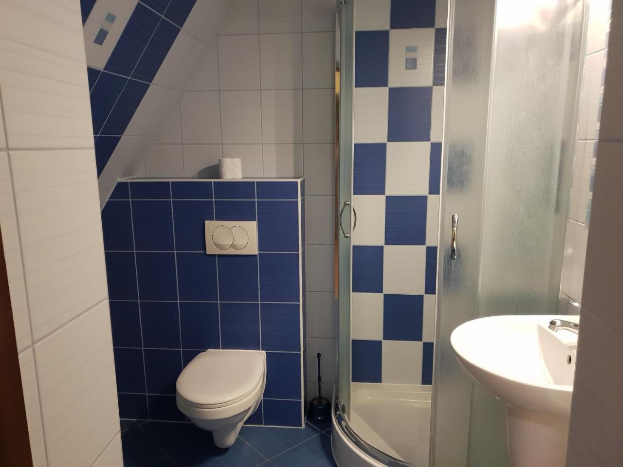 Willa Anda Zakopane Exteriör bild